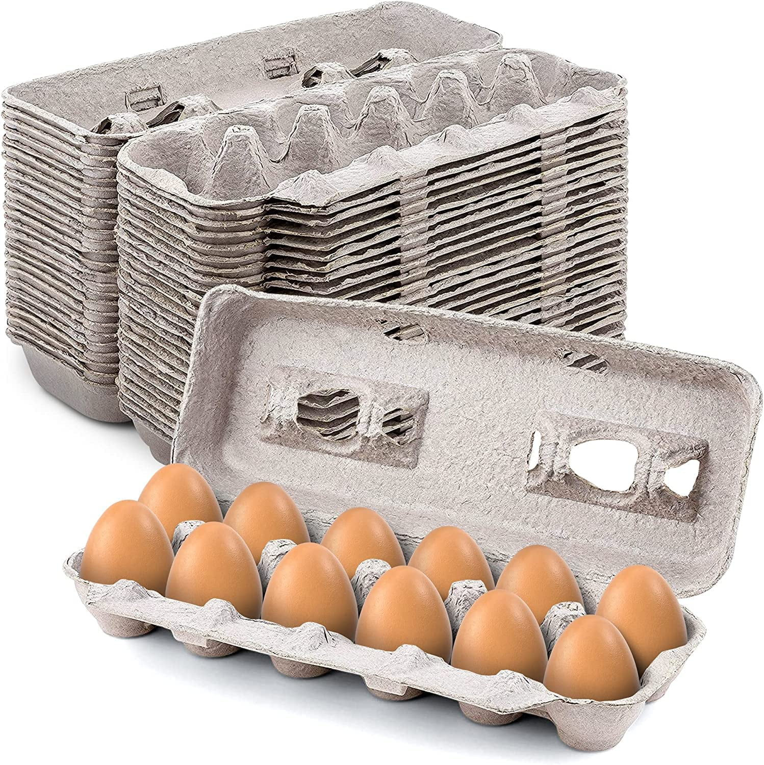 Basicwise Clear Plastic Egg Carton 12 Egg Holder Carrying Case with Handle Set of 2