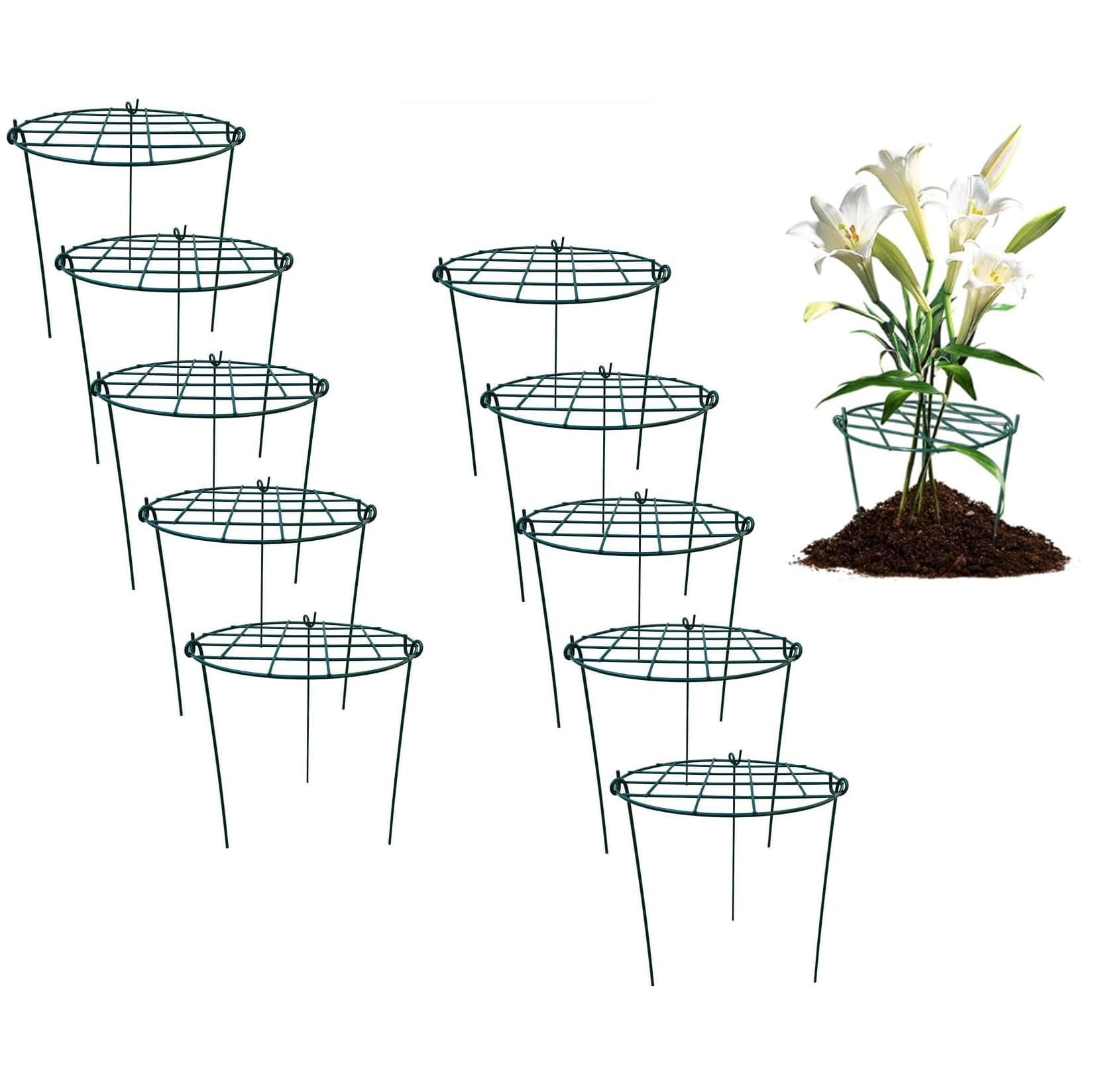 MTB SUPPLY 16 x 24 inch Grow Through Plant Support, Pack of 10, Peony Cages and Supports Plant Brace Flower Support Rings for Outdoor Plants Flowers Vegetables Support