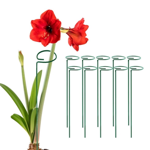 MTB Green 16 inch Single Stem Plant Stakes Flower Support Rings, Pack of 10 18-inch 10pack