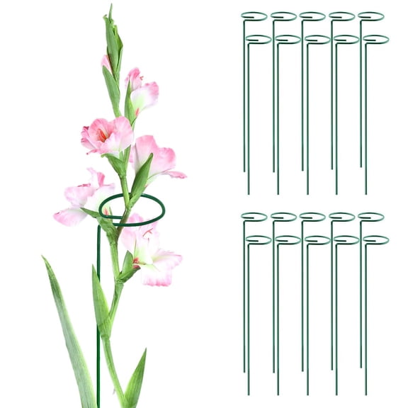 MTB SUPPLY Green 24 inch Single Stem Plant Stakes Flower Support Rings, Pack of 20,Gardening Planter Cages for Single Stem Flowers, Amaryllis, Peony, Lily,Narcissus