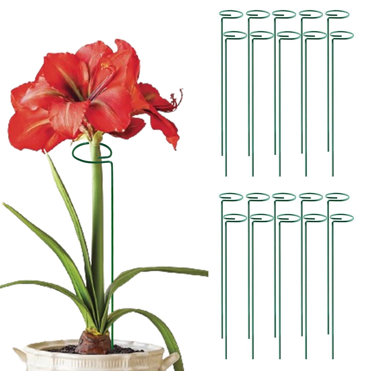MTB SUPPLY Green 36 inch Single Stem Plant Stakes Flower Support Rings ...