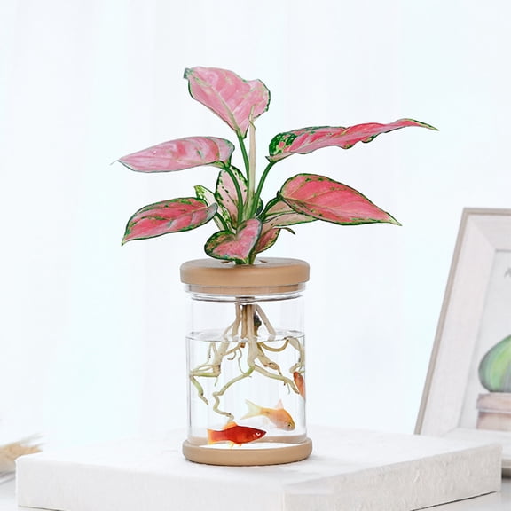 MTBLYS Hydroponic Planter Clear Plastic Pot 4.29X2.48X2.48 Inch Self-Watering Indoor Desktop Home Office Use