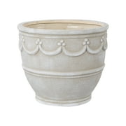 pot succulent Statement Succulent Arrangement Planter main image 1