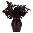 thumbnail image 1 of My Texas House Halloween Layered Foliage Arrangement in Vase, Plum, 20", 1 of 5