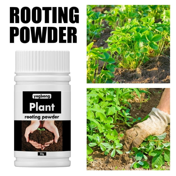 MUAXDA Rooting Powder Hormone Root Fertilizer Seedling Help New Roots on Cuttings and Promotes Strong Healthy Roots for Moderately Difficult to Root Plants Promote Growth,100g