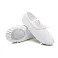 thumbnail image 1 of MUCHENGGIFT Ballet Canvas Dance Shoes for Toddler/Kids/Women,Ballet Slippers for Dancing, 1 of 4