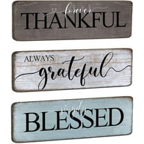 MUCHENGGIFT Farmhouse Home Sign Wall Decor Family Wall Decor for Living Room 3 Pieces Grateful Thankful Blessed Wall Art Decor 16"x5" Inspirational Family Quotes Wall Decor Family Signs