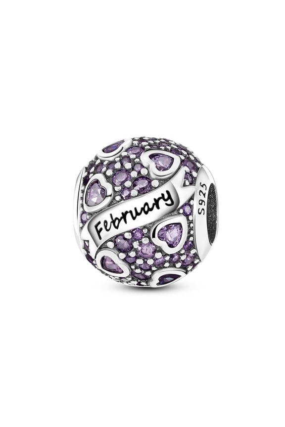 Feb Birthstone Charms 925 Sterling Silver Charms for Bracelets and Necklaces Gift for Women