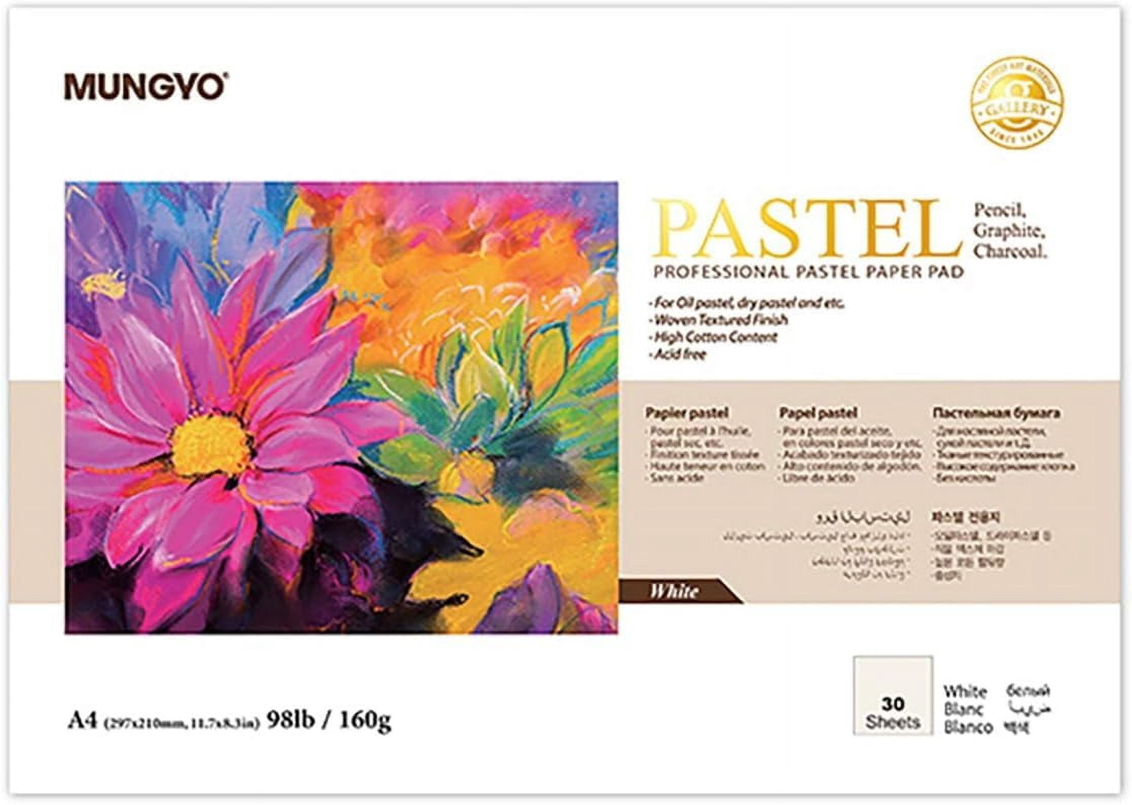 Ensemble De Pastels à L'huile Mungyo - 12 Bâtons Format Petit - Couleurs Nostalgie Pastel - Pour Artistes Et Loisirs Créatifs