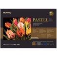 MUNGYO Professional Pastel Paper YPF5 Pad. A4 Size Oil Pastel Paper, 30