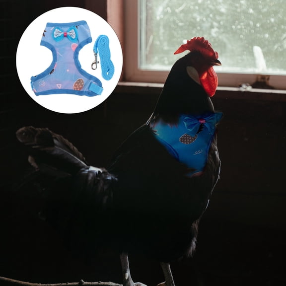 OATIPHO 1Set Durable Blue Chicken Harness with Adjustable Hen Leash and Rooster Pulling Rope for Pets