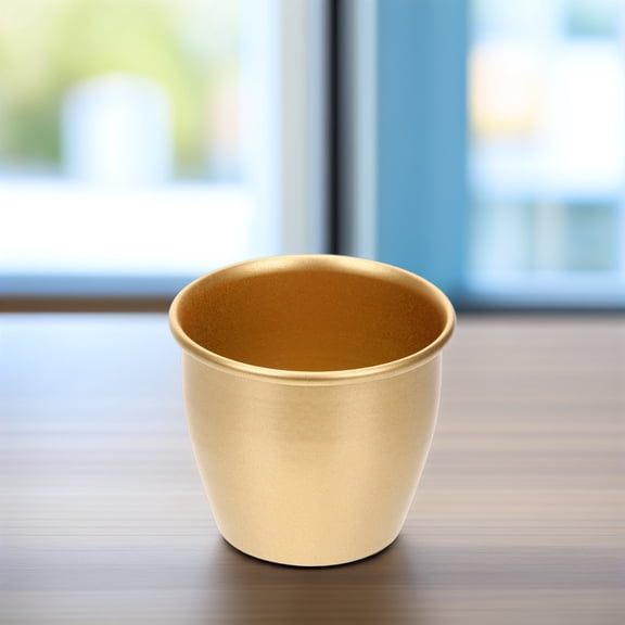 OATIPHO Golden Metal Plant Pot for Indoor and Outdoor Use Stylish Succulent Planter for Patio and Tabletop