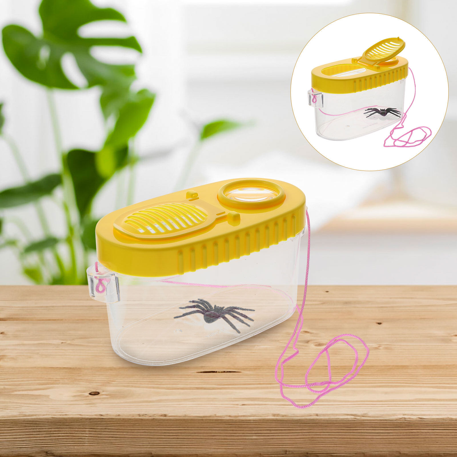 MUSEYA 2Pack Children's Insect Viewer Plastic Yellow for Educational ...