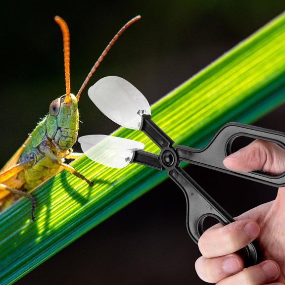 OATIPHO 3Pcs Lizards Feeding Feeder Black Scissors Handle Design Pet Raising Tool Breeding Cleaning