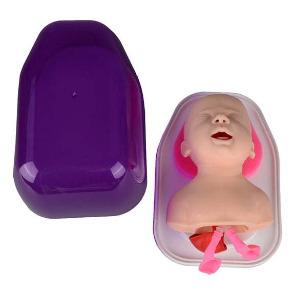 MUSEYA Endotracheal Human Model For School Teaching Pvc Assorted Color 1 Set