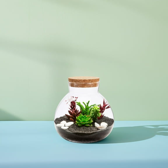 OATIPHO Moss Plant Container Glass Ecological Bottle for Storage Use
