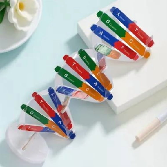 OATIPHO Double Helix Dna Model Kit Paper Assorted Color 1 Set For Science Projects