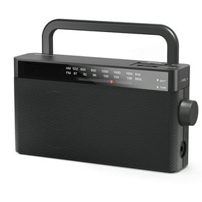 Mini Digital Am Fm Radio Speaker