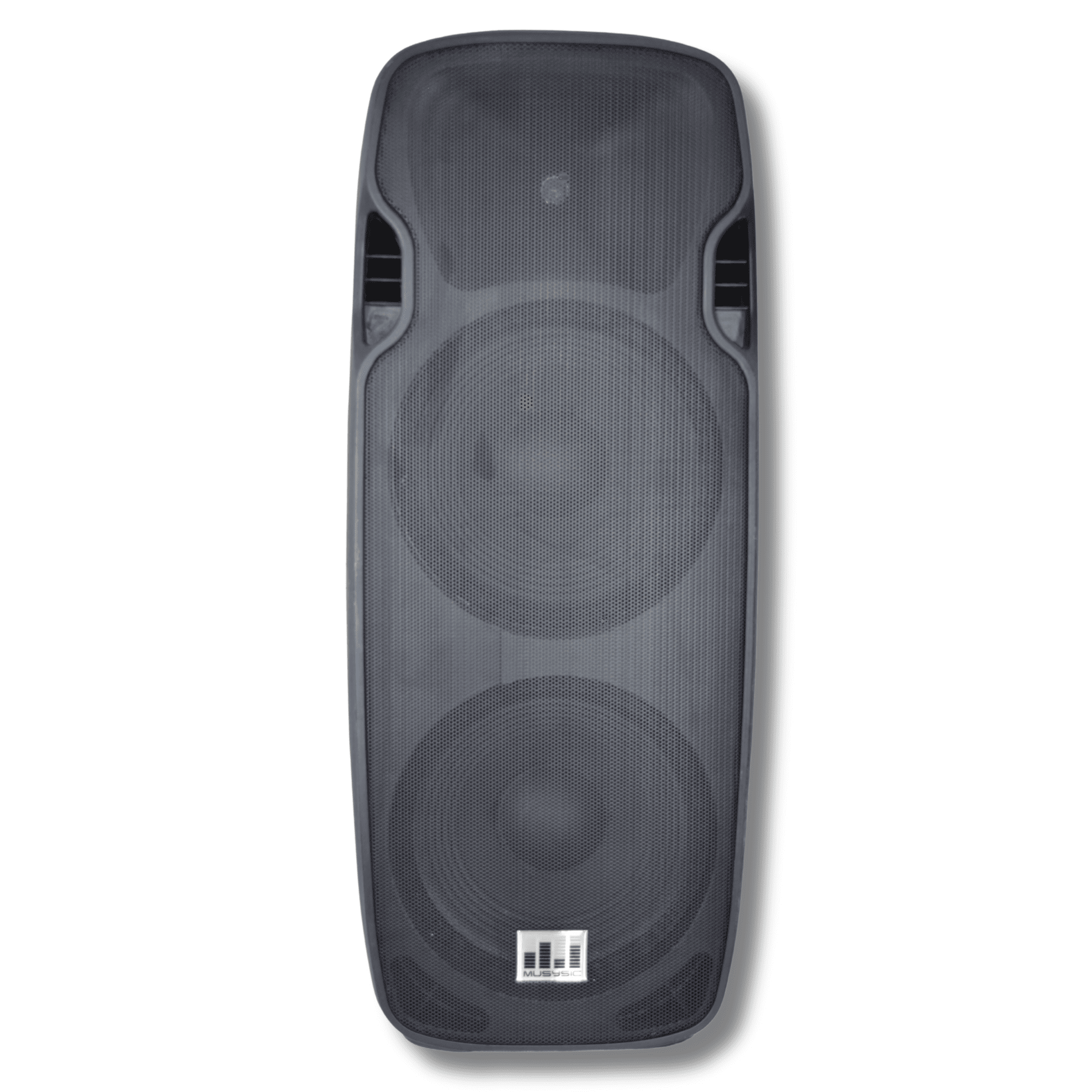 MUSYSIC 15 Channel Professional 2 Way DJ Passive PA Speaker/Durable ABS ...