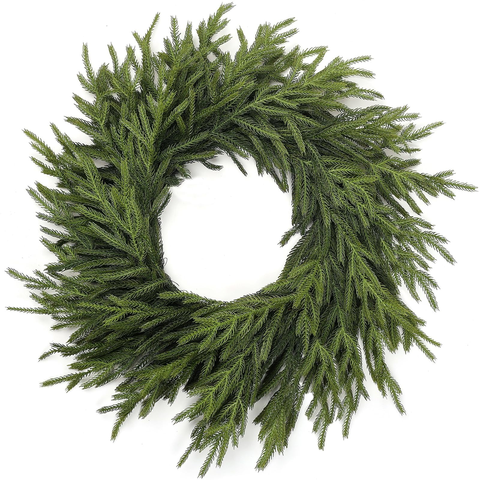 24" Green Real Touch Artificial Norfolk Pine Christmas Wreath