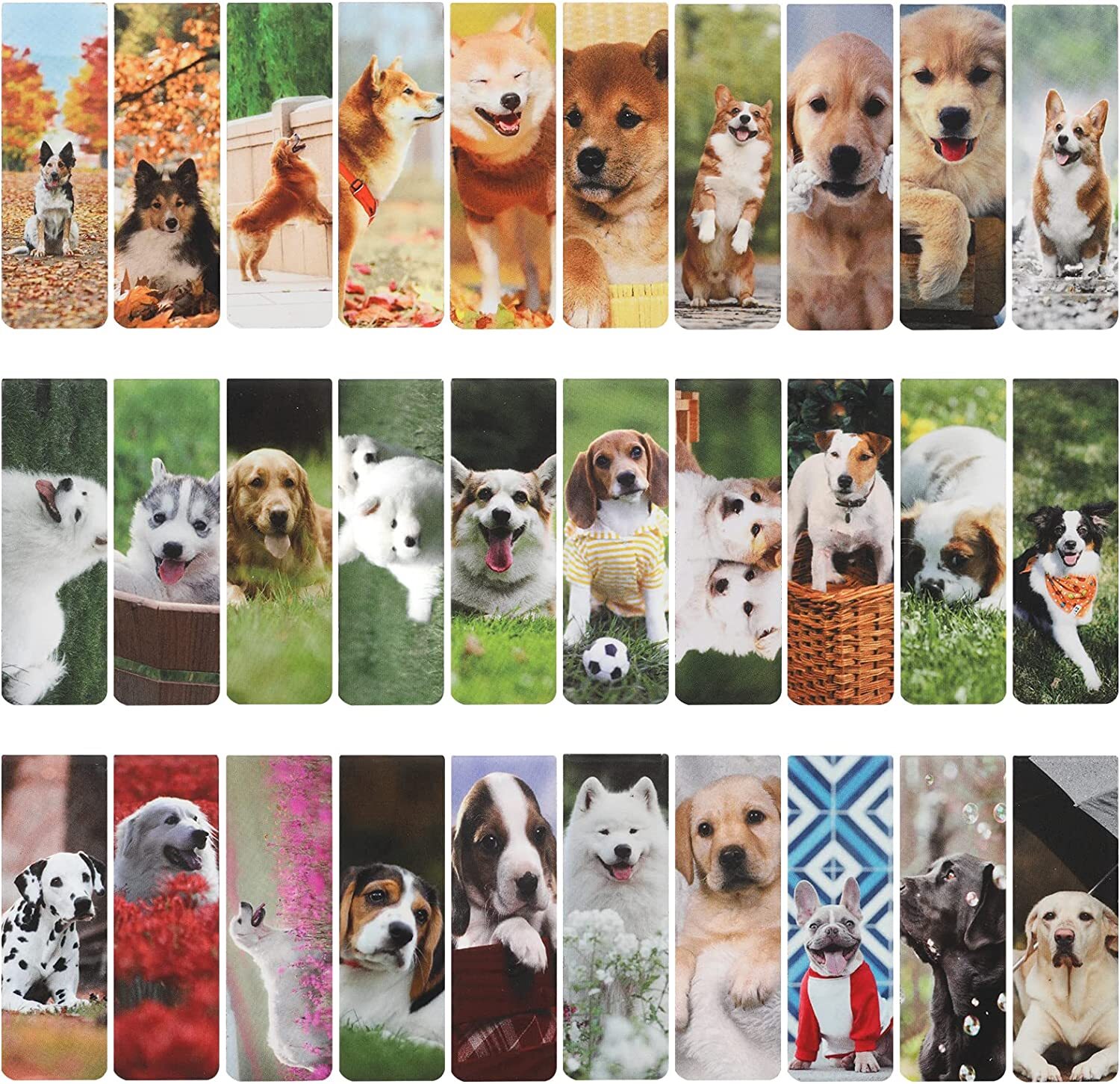 MWOOT 30pcs Bookmarks, Cute Dogs Book Marks Set, Double