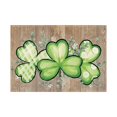 thumbnail image 1 of MXTPOV St. Patrick's Day Placemats, Gnomes Shamrock Printed Placemats Set of 4, Seasonal Spring Kitchen Dining Table Decor for Party Home Decor, St Patricks Day Decorations, 1 of 5