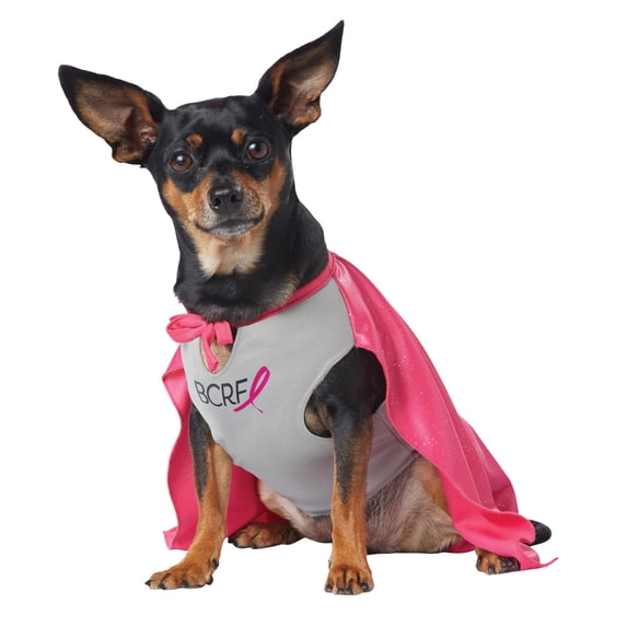 MY BREAST CANCER RELIEF FOUNDATION HERO DOG COSTUME