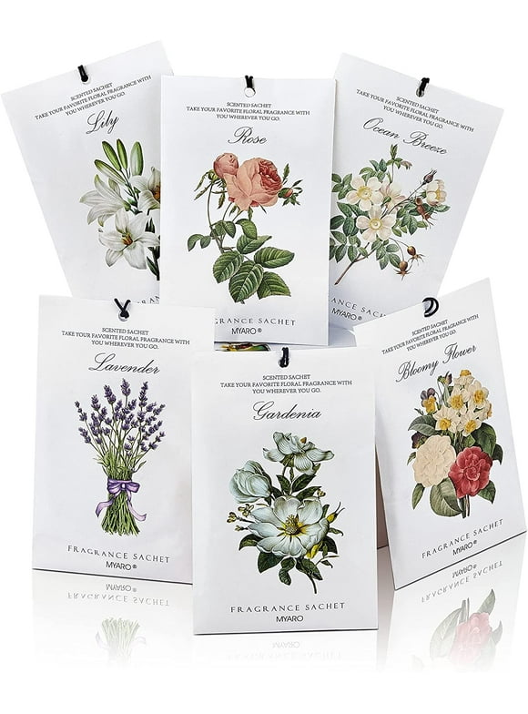 Car Air Fresheners by Scent in Car Air Fresheners