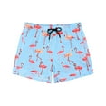 thumbnail image 1 of MYJAJAYI Men Swim Trunks with Compression Liner Quick-Dry with Elastic Waistband Security Drawstring Baby Blue Size M, 1 of 1