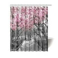 thumbnail image 1 of MYPOP Blossoms in Central Park Cherry Bloom Trees Forest Spring Springtime Landscape Polyester Fabric Bathroom Shower Curtain Set with Hooks, 60 X 72 Inches, Pink Gray, 1 of 2
