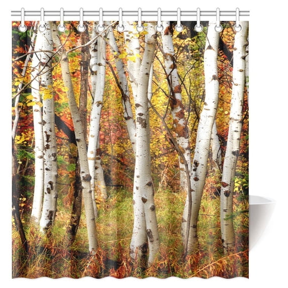 MYPOP Fall Woodland Shower Curtain, White Fall Birch Trees with Autumn Leaves Growth Wilderness Ecology Calm View Fabric Bathroom Shower Curtain Set with Hooks, 66 X 72 Inches