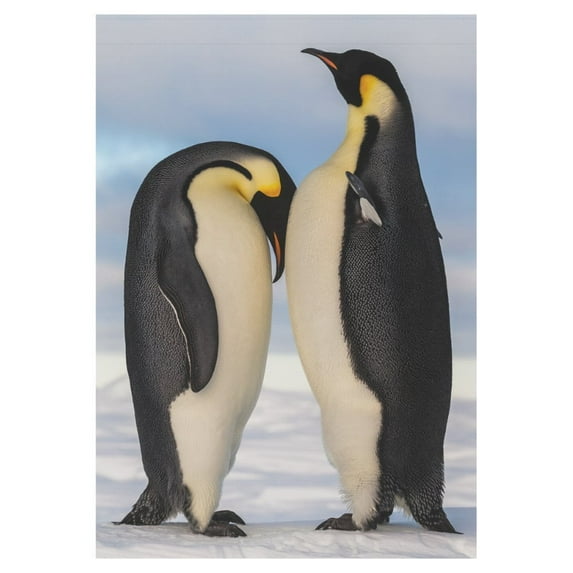 MYPOP Funny Emperor Penguins Garden Flag Outdoor Banner 28 x 40 inch