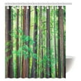 thumbnail image 1 of MYPOP Woodland Decor Shower Curtain, Redwood Trees Northwest Rain Forest Tropical Scenic Wild Nature Lush Branch Fabric Bathroom Decor Set with Hooks, 60 X 72 Inches, 1 of 3