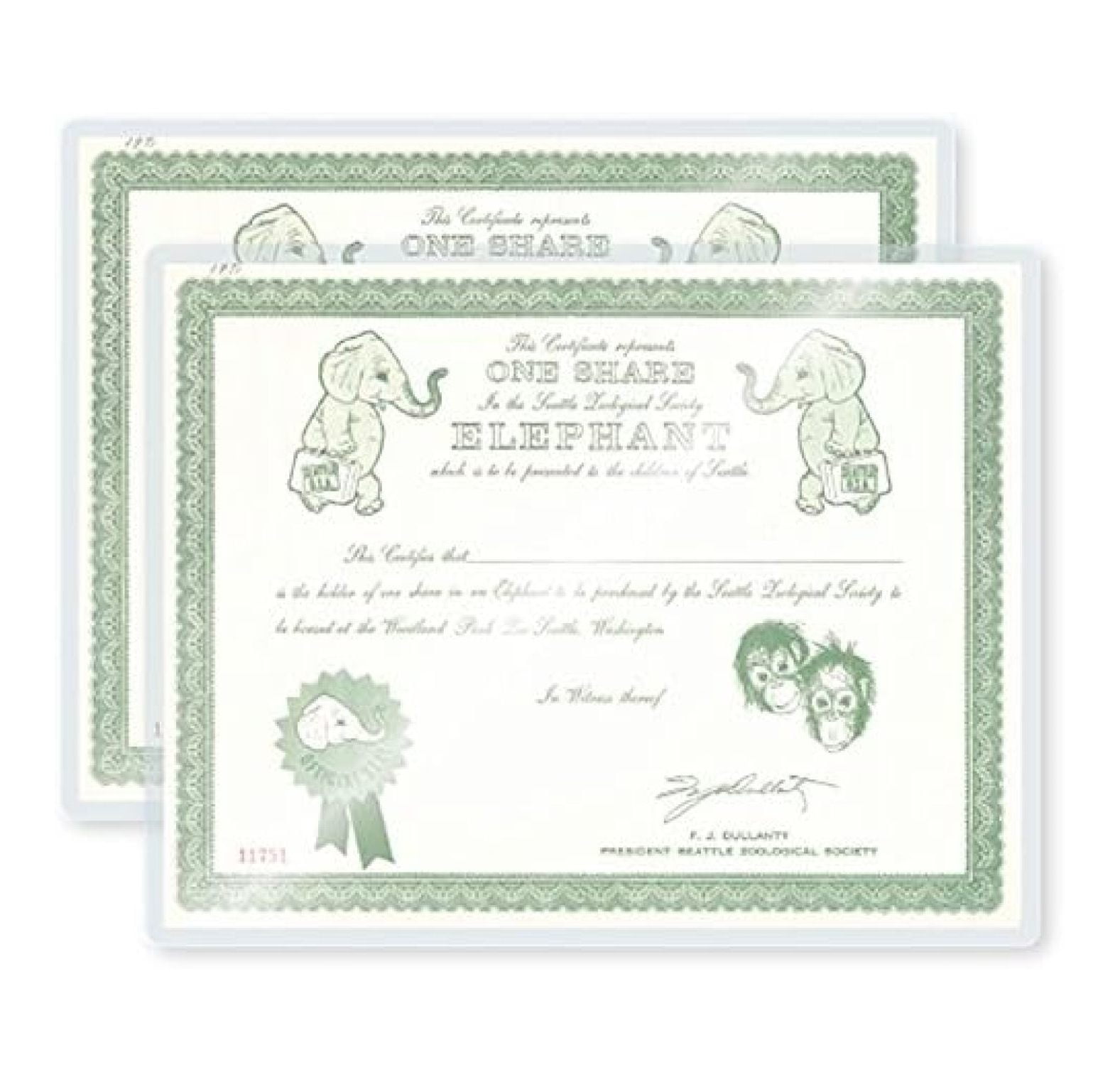 MYXIO Laminating Pouches Letter Size Sticky Back 9Inch by 111/2