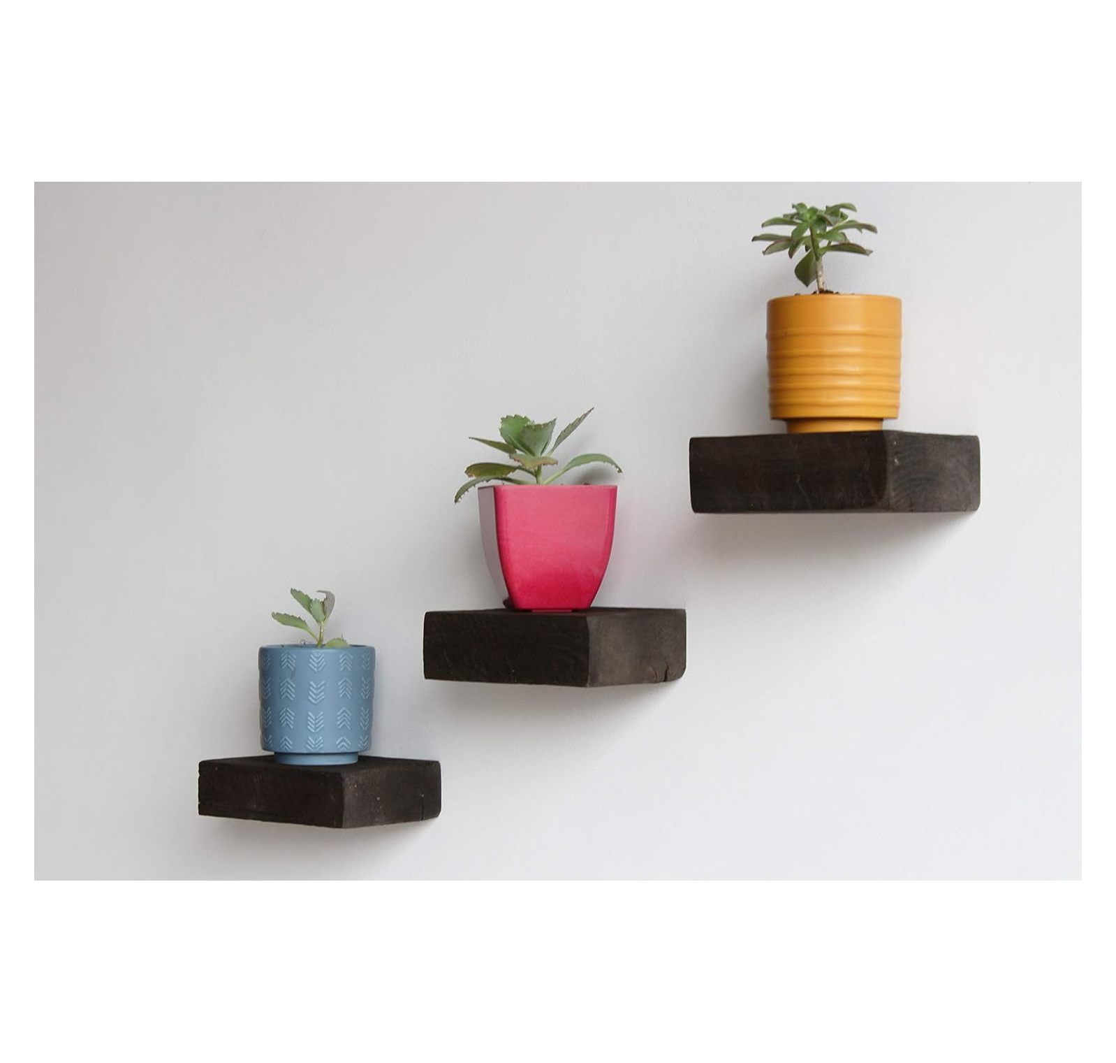 MYXIO Small Reclaimed Barn Wood Floating Shelves Set of 3 Genuine