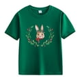 thumbnail image 1 of MZXELPRJD Girls Tops Toddler Boy Girl Easter Shirt Short Sleeve Bunny Outfits Matching Family T-Shirt Holiday Tee Tops Bunny Tshirt for Kids, 1 of 1