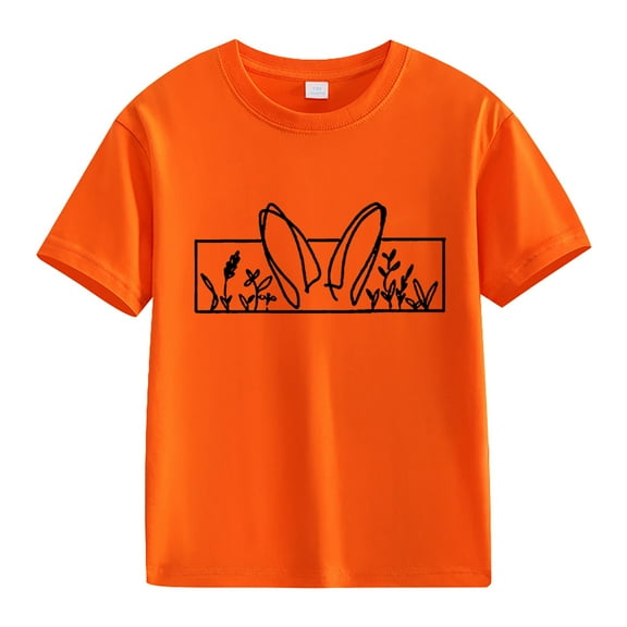 MZXELPRJD Toddler Baby Girl Summer Clothes Bunny Graphic Short Sleeve T Shirt Casual Crewneck Kids Tee Tops 2025 Easter Day Gifts