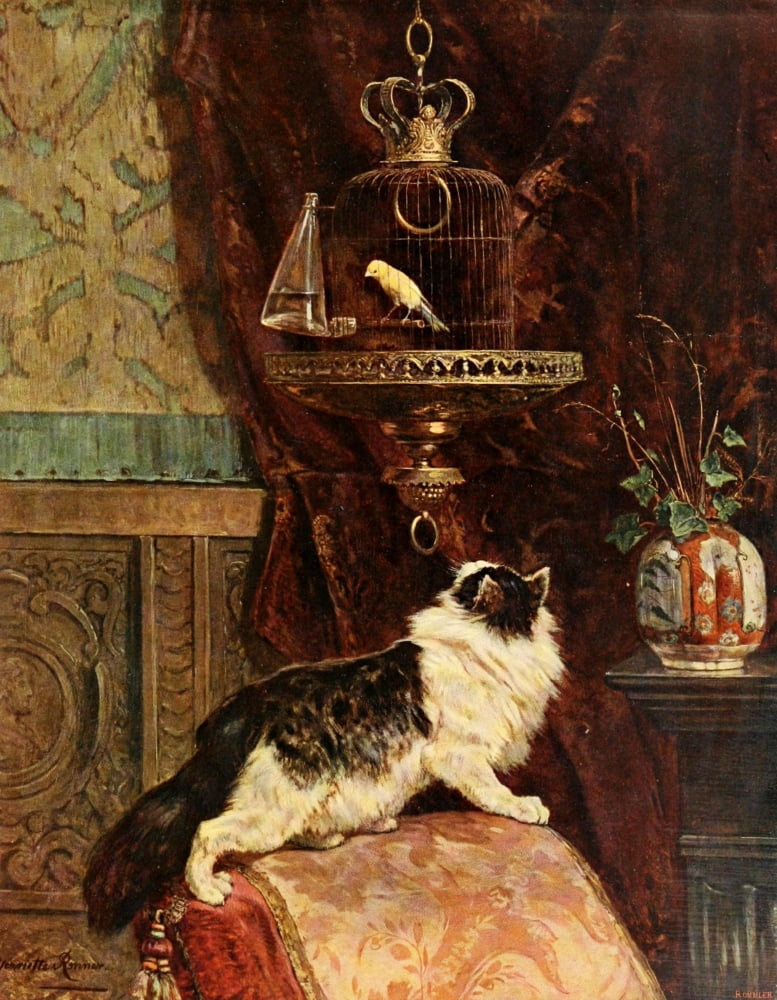 MaÔø?tres Contemporaines 1904 Cat stalking canary Canvas Art - Henriette Ronner-Knip (24 x 36)