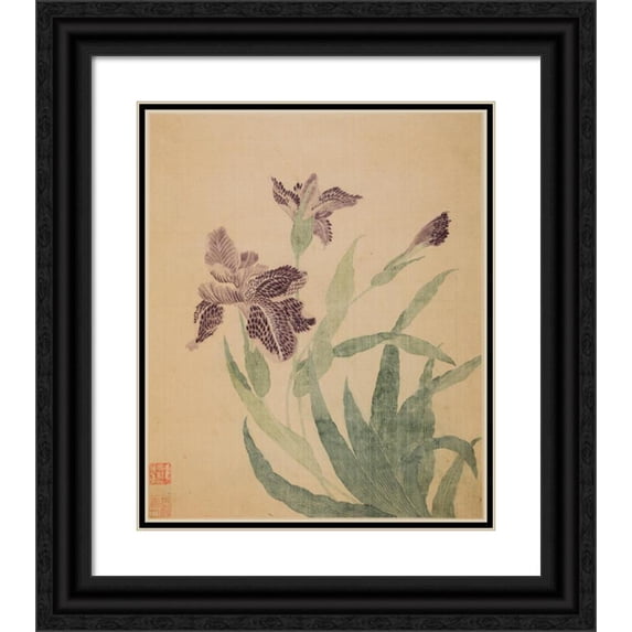 Ma Yuanyu 12x14 Black Ornate Wood Framed Double Matted Museum Art Print Titled: Irises (1690)