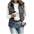 thumbnail image 1 of MaFYtyTPR Women's Puffer Vest Quilted Sleeveless Zip Up Coat Winter Stand Collar Padded Gilet Jacket with Pockets, 1 of 6