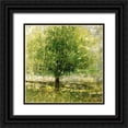 thumbnail image 1 of Maas, Jodi 15x15 Black Ornate Wood Framed with Double Matting Museum Art Print Titled - Green Lit Tree, 1 of 4