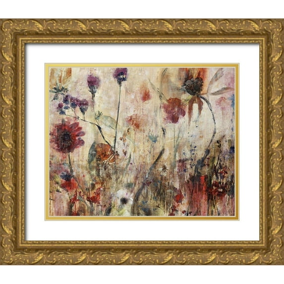 Maas, Jodi 24x20 Gold Ornate Wood Framed with Double Matting Museum Art Print Titled - Illuminated Nature