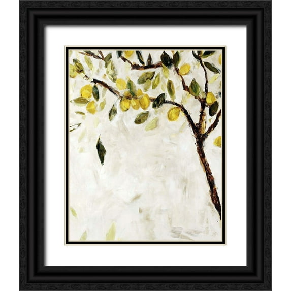 Maas, Jodi 26x32 Black Ornate Wood Framed with Double Matting Museum Art Print Titled - Meyer Lemon Tree