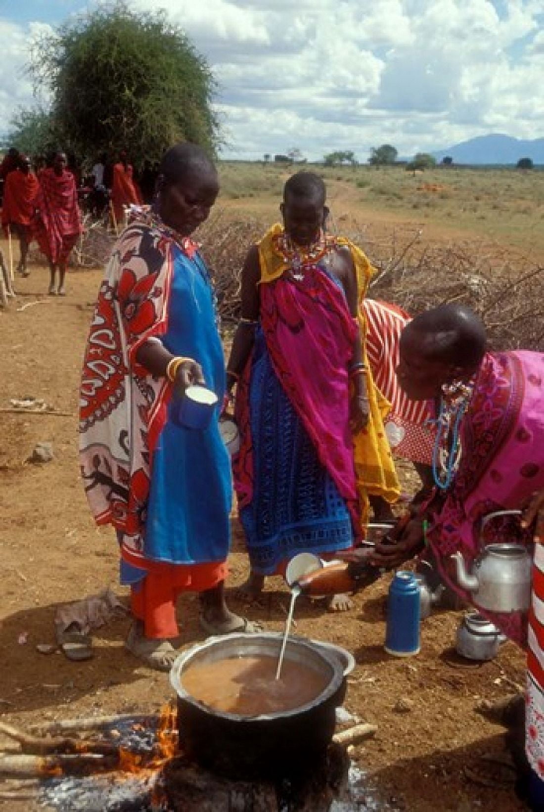 Maasai Women Cooking for Wedding Feast Amboseli Kenya Canvas Art - Alison Jones DanitaDelimont (24 x 36)