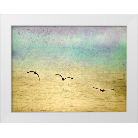 Mabat, Ynon 14x12 White Modern Wood Framed Museum Art Print Titled - Seagulls in the Sky II