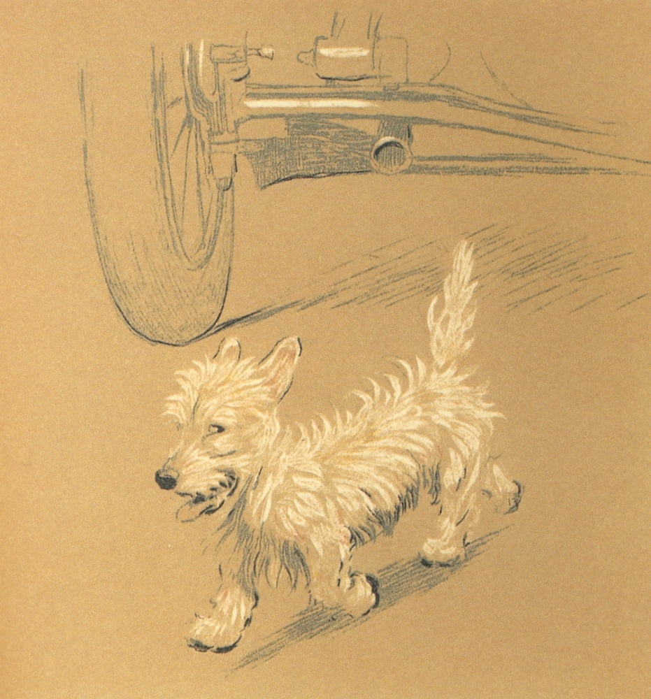 Mac 1912 Behind the car Canvas Art - Cecil Aldin (24 x 36)