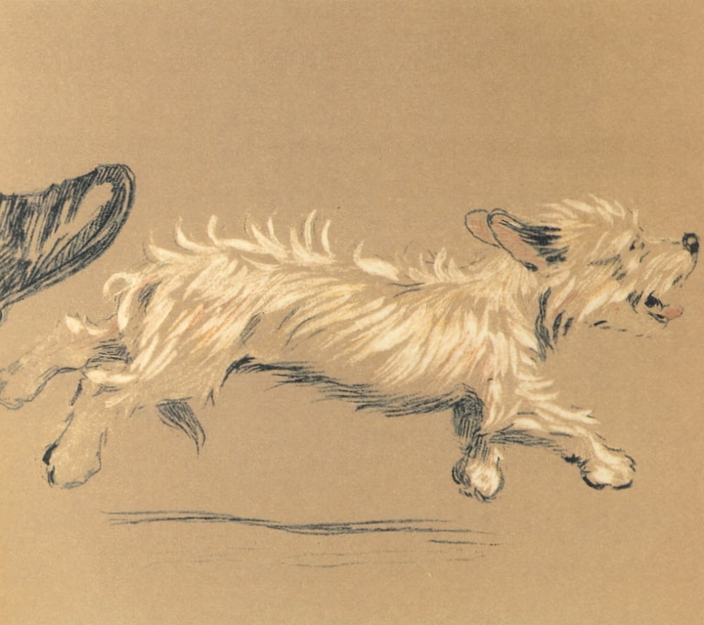 Mac 1912 Being shoo-ed away Canvas Art - Cecil Aldin (24 x 36)