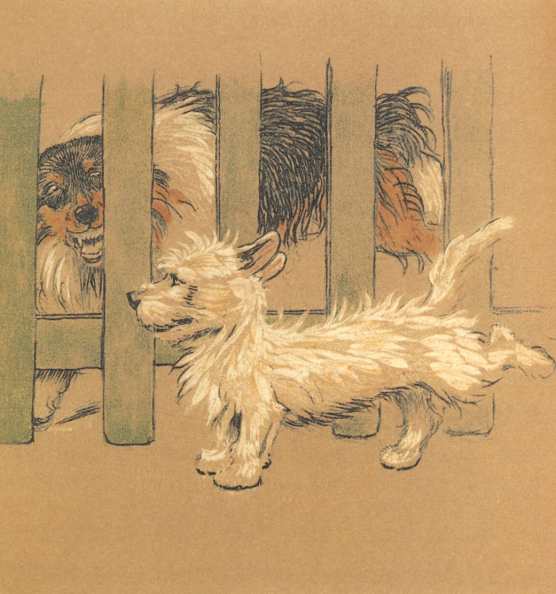 Mac 1912 Big dog Canvas Art - Cecil Aldin (24 x 36)