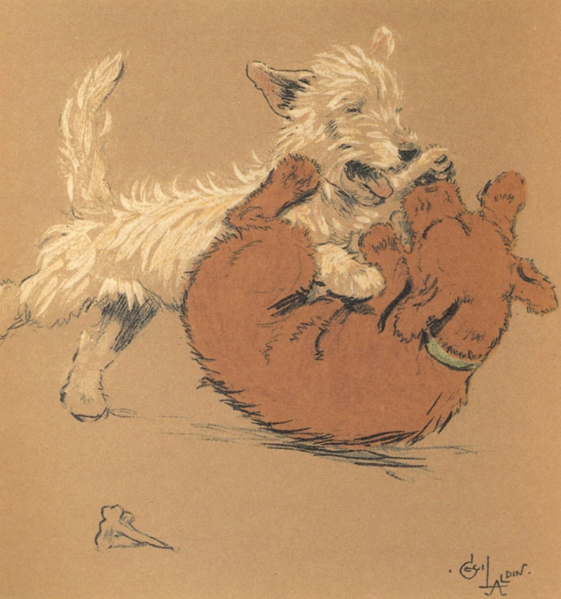 Mac 1912 Dog-fight Canvas Art - Cecil Aldin (18 x 24)