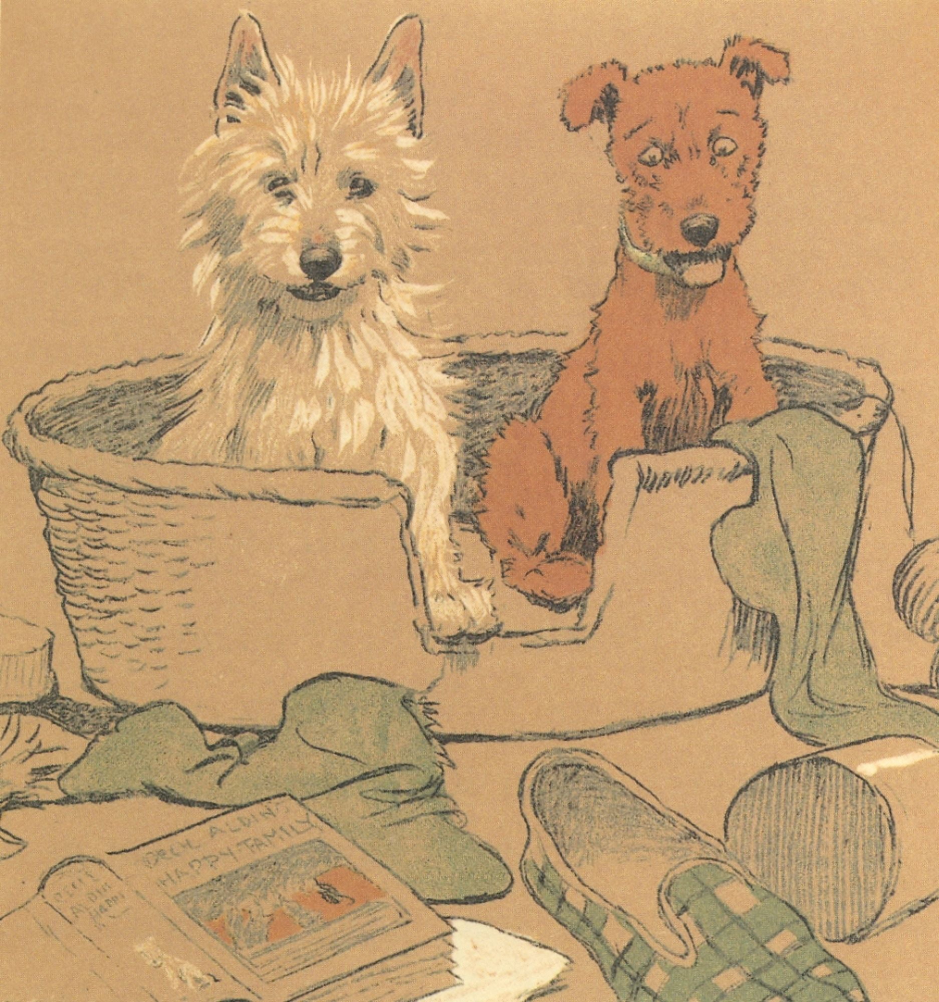 Mac 1912 Dogs in basket Canvas Art - Cecil Aldin (18 x 24)